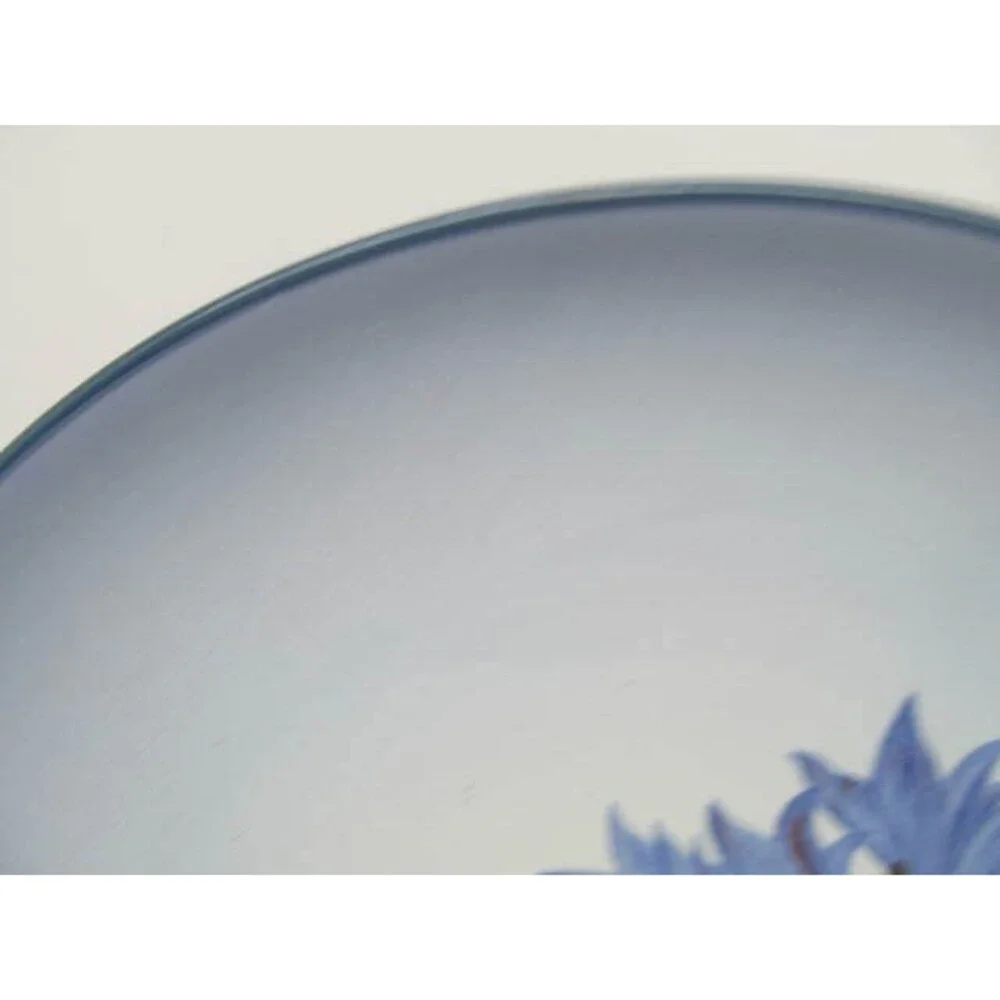 Noritake Colorwave Blue Cornflower 8 3/8